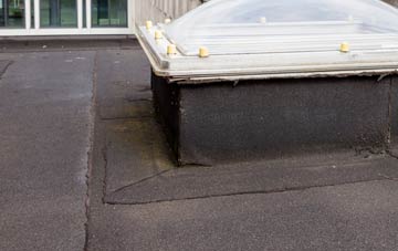 disadvantages of Eslington Park flat roofs