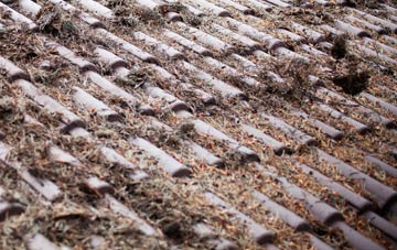 Eslington Park roof cleaning companies